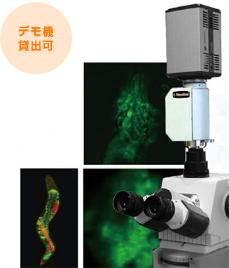 デモ機貸出有