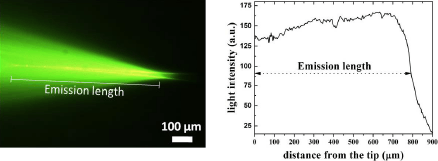 LAMBDA-ファイバーの画像2