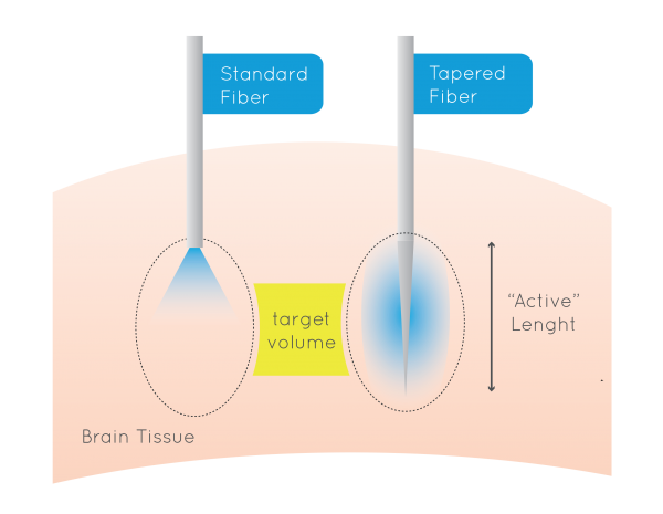 LAMBDA-ファイバーの画像3