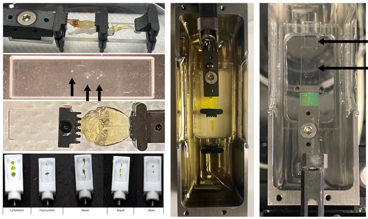 ライトシート顕微鏡システム Alpha3の特長画像大1