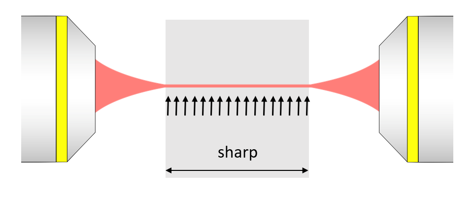 ライトシート顕微鏡システム Alpha3の特長画像小1-1