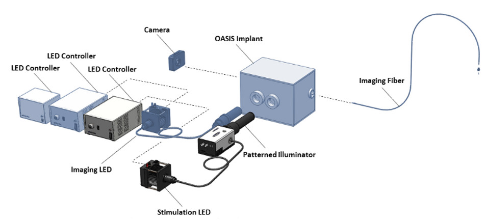 OASIS Implantの特長画像大1