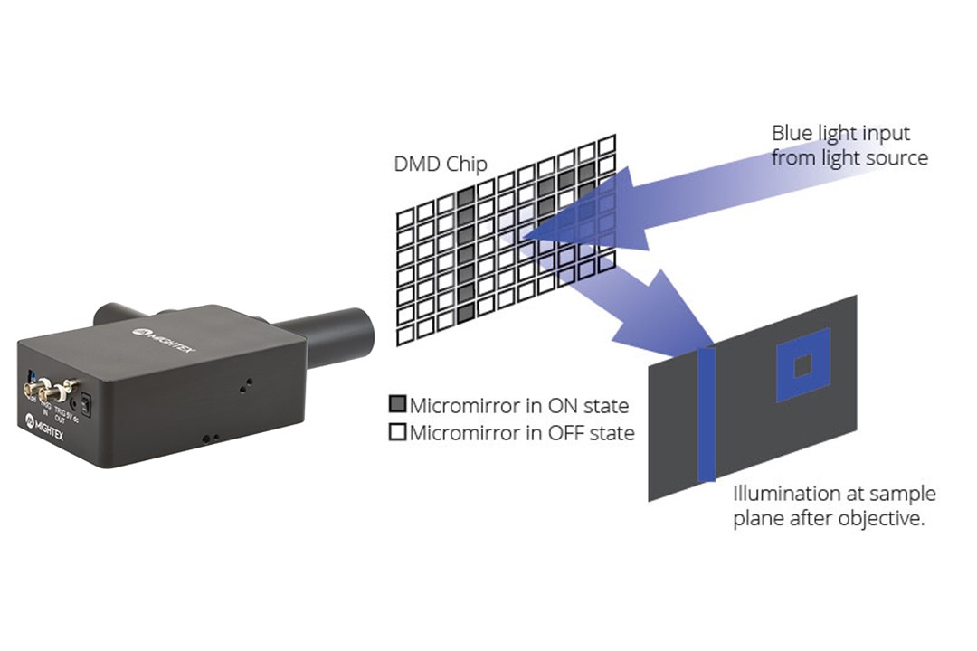 OASIS Implantの特長画像小1-1